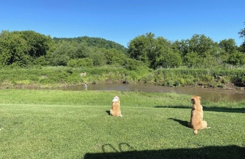 Viroqua Wohnmobilvermietung | Blakley Hobbit Campground-Tent spot #6