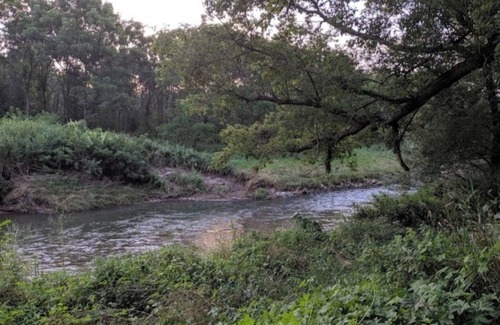 Viroqua Wohnmobilvermietung | Blakley Hobbit Campground-Tent spot #6