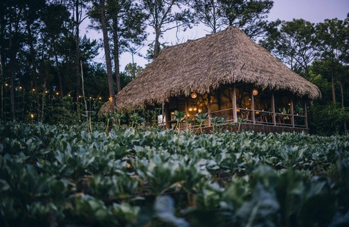 Mountain Pine Ridge Kabine | Blancaneaux Lodge by Francis Ford Coppola