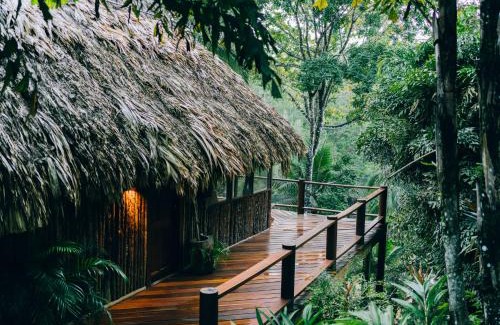 Blancaneau Kabine | Blancaneaux Lodge by Francis Ford Coppola