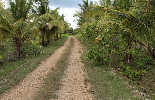 Armenia Haus | Blossom Ranch: A Floral Oasis In Belize