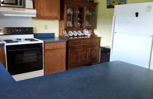 Homerville Haus | Blue Elephant Cottage