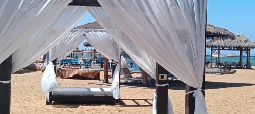Zafarana Skihütte | Bluebay Asia شاليه بلوباي