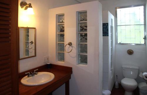 Forest Home Wohnung | BlueBelize B&B