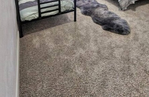 Roy Haus | Bohemian Dream