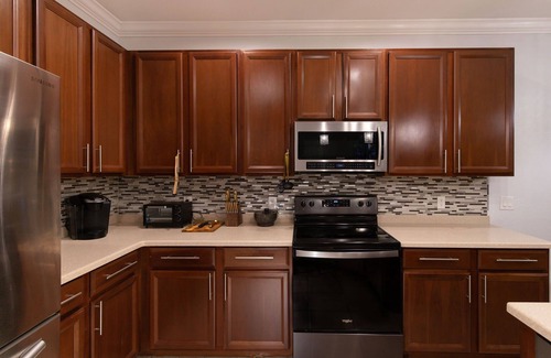 Westminister Haus | Boho Gator Lux 2 Ft. Myers