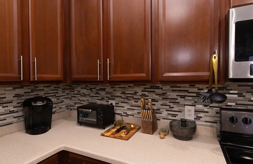 Westminister Haus | Boho Gator Lux 2 Ft. Myers