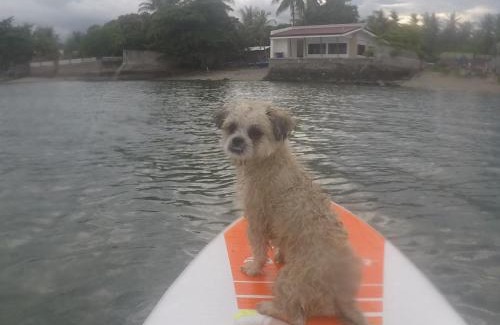 San Jose Resort | Boochee Beach