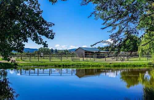 Medford Haus | Rellik Haus. Weingut und Alpaka Farm