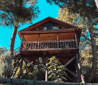 Karacaoren Resort | Botanik Göl Evleri