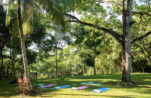 Negroman Haus | Brand-New Treetop Hideaway w/ Amazing Jungle Views, Outdoor Bathtub, & A/C