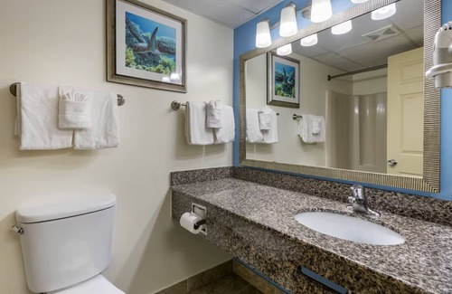 Seabreeze Park Hotel | Breathtaking Ocean Escape | Perfect Relaxation Near Daytona Beach & Pier Park