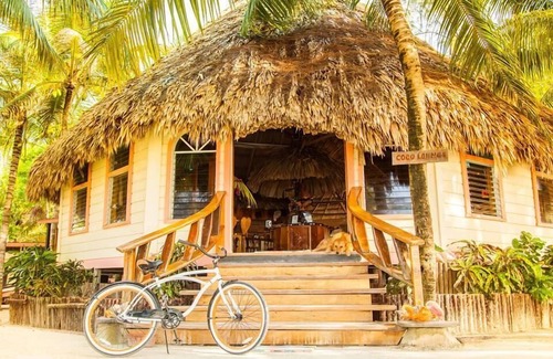 Thatch Caye Resort | Breezy Oceanfront Cabana w/ Walk-In Shower & Private Rooftop Deck