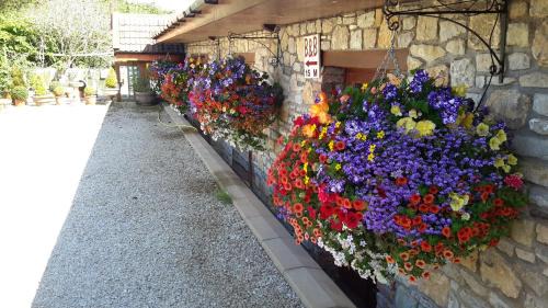 Barrow Gurney Haus | Bridge Farm Guesthouse rooms