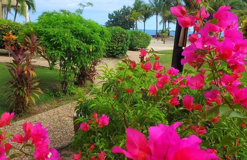 Placencia Villa | Meerblick-Panorama-Villa-Ensuite Bad-LP 7B