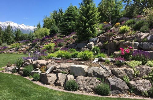 Highland Haus | Schöne Kellerwohnung | Hauptsitz