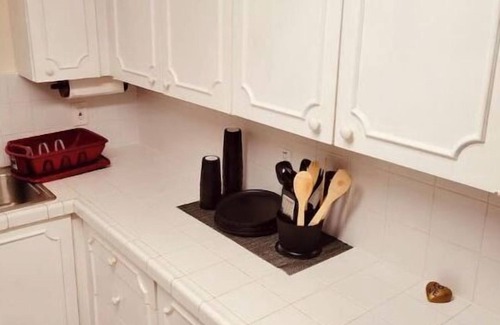 Tougaloo Haus | BRINGING MIAMI TO JACKSON MISSISSIPPI.