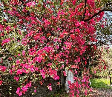 Yuanshan Haus | Brookburg