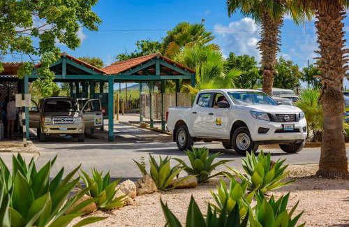 Hato Wohnung | Buddy Dive Resort