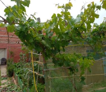 Inezgane Wohnung | budget friendly space