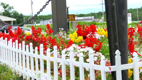 Waterville Hotel | Budget Host Airport Inn
