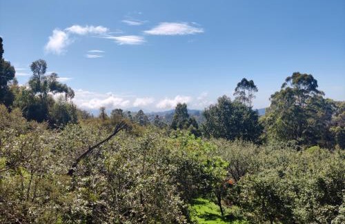 Kodaikanal Bed & Breakfast | Budget Lodge