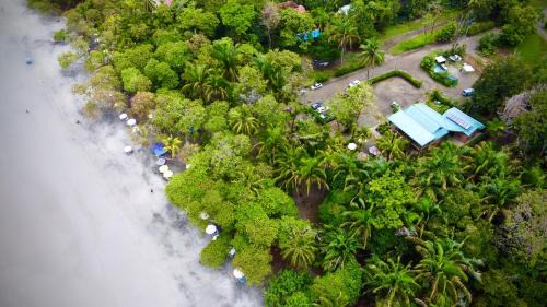 Manuel Antonio Hotel | Buena Vista Plus