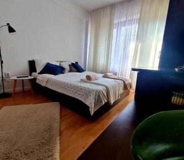 Curtea De Arges Wohnung | Bulevard View Studio