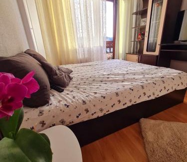 Curtea De Arges Wohnung | Bulevard View Studio