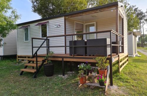 Burinhosa Sonstige | Bungalow " A Toca da Raposa"