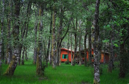 Melgaco Haus | Bungalows da Peneda