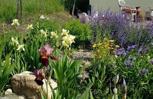 Babb Haus | BERGE auf ein Budget und schließen, um Gletscher- einem rustikalen TASTE OF MONTANA Vergangenheit