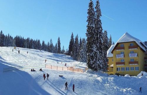 Feldberg Hotel | Burg Hotel Feldberg