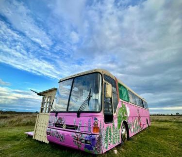 Chamiza Wohnung | Bus Casa en observatorio de aves