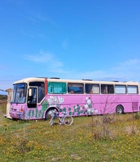 Chamiza Wohnung | Bus Casa en observatorio de aves