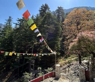 Mohal Haus | Byway, Kasol
