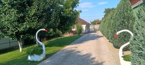 Sinmartin Wohnung | Căsuțe la curte