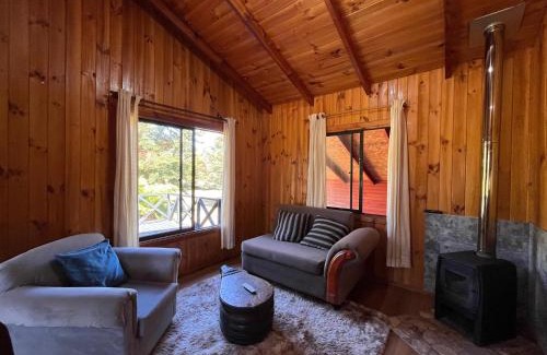 Panguipulli Haus | Cabaña campestre con amplio espacio natural