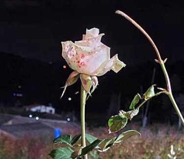 Paipa Haus | Cabaña Campestre Montreal