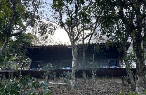 Pahuatlan del Valle Skihütte | Cabaña de Vidrio en el Bosque