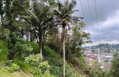 Salento Haus | CABAÑA EN BAMBU CON ESPECTACULAR VISTA A SALENTO