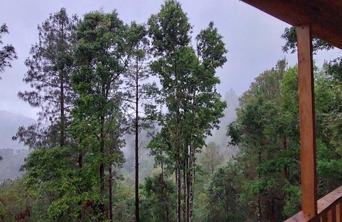 San Jose del Pacifico Skihütte | Cabaña en el Bosque de San José del Pacífico