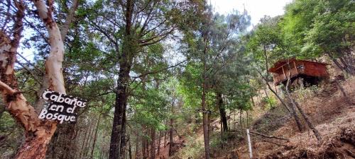 San Jose del Pacifico Sonstige | Cabaña en el Bosque de San José del Pacifico 2