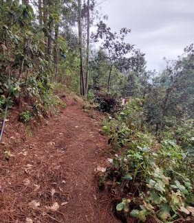 San Jose del Pacifico Sonstige | Cabaña en el Bosque de San José del Pacifico 2