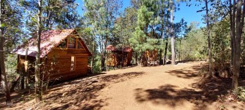 San Jose del Pacifico Skihütte | Cabaña en el Bosque de San José del Pacífico 3