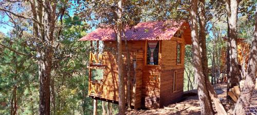 San Jose del Pacifico Skihütte | Cabaña en el Bosque de San José del Pacífico 3