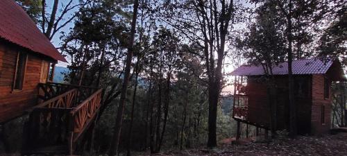 San Jose del Pacifico Skihütte | Cabaña en el Bosque de San José del Pacífico 3