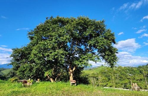 Filandia Haus | Cabaña hospedaje Masinga