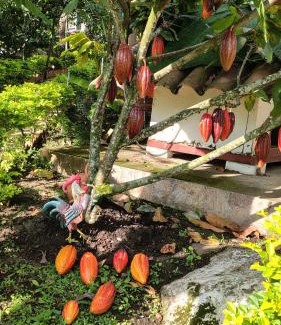 El Colegio Villa | Cabaña La Cascada