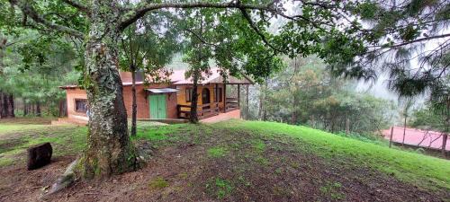 San Jose del Pacifico Haus | Cabaña La Vía Láctea